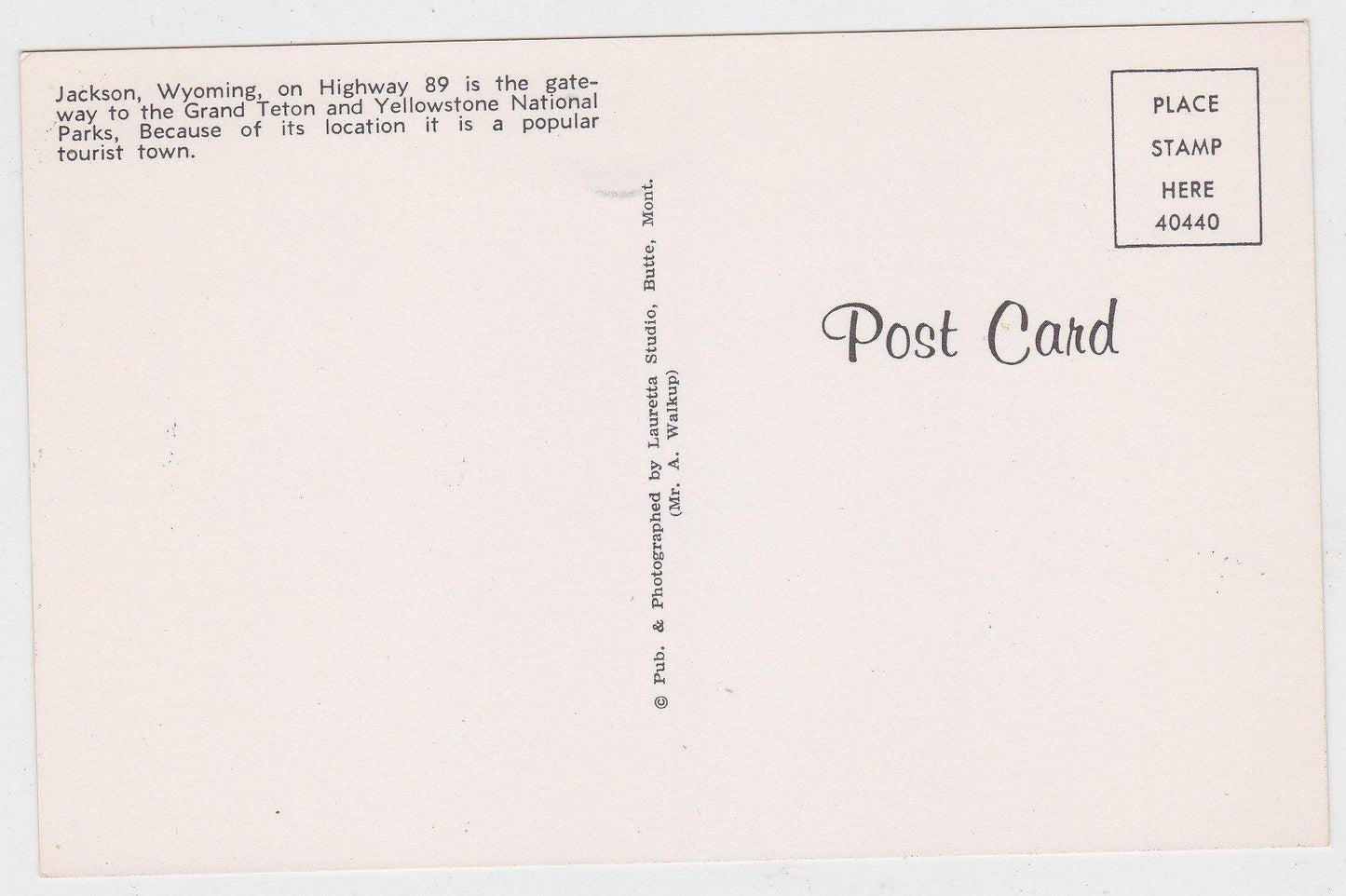 Jackson Wyoming Highway 89 Street Scene 1950's Postcard - TulipStuff