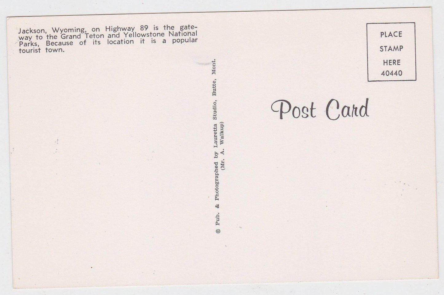 Jackson Wyoming Highway 89 Street Scene 1950's Postcard - TulipStuff