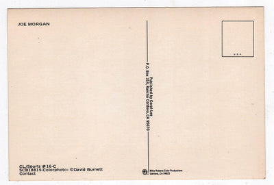 Joe Morgan Cincinnati Reds Hall of Famer Late 1970's Baseball Postcard - TulipStuff
