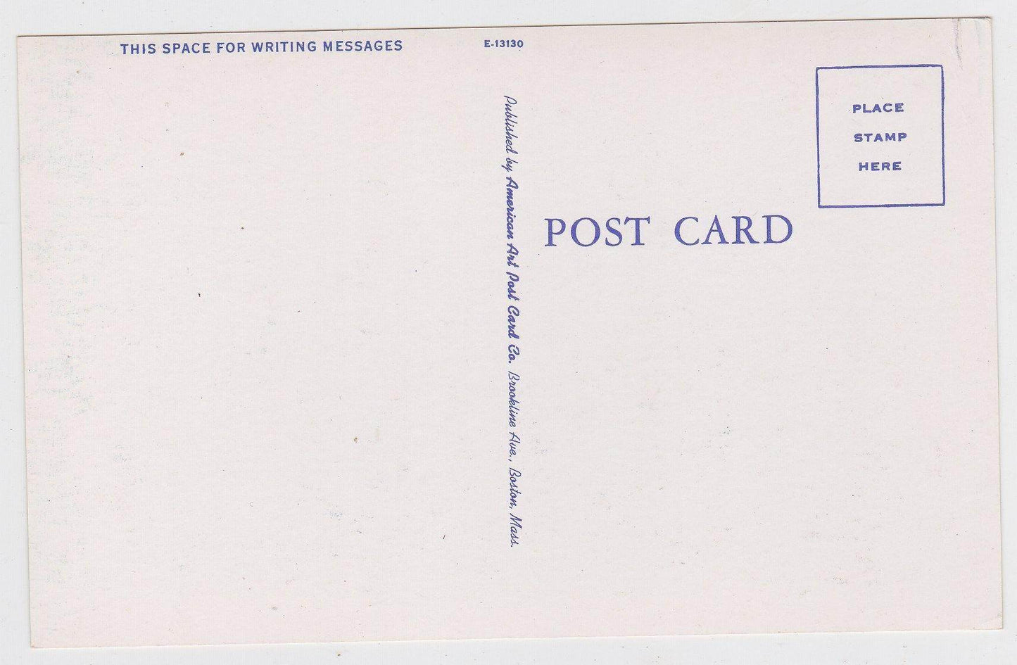 Lunch Time In Maine Bear Cub Drinking Postcard - TulipStuff