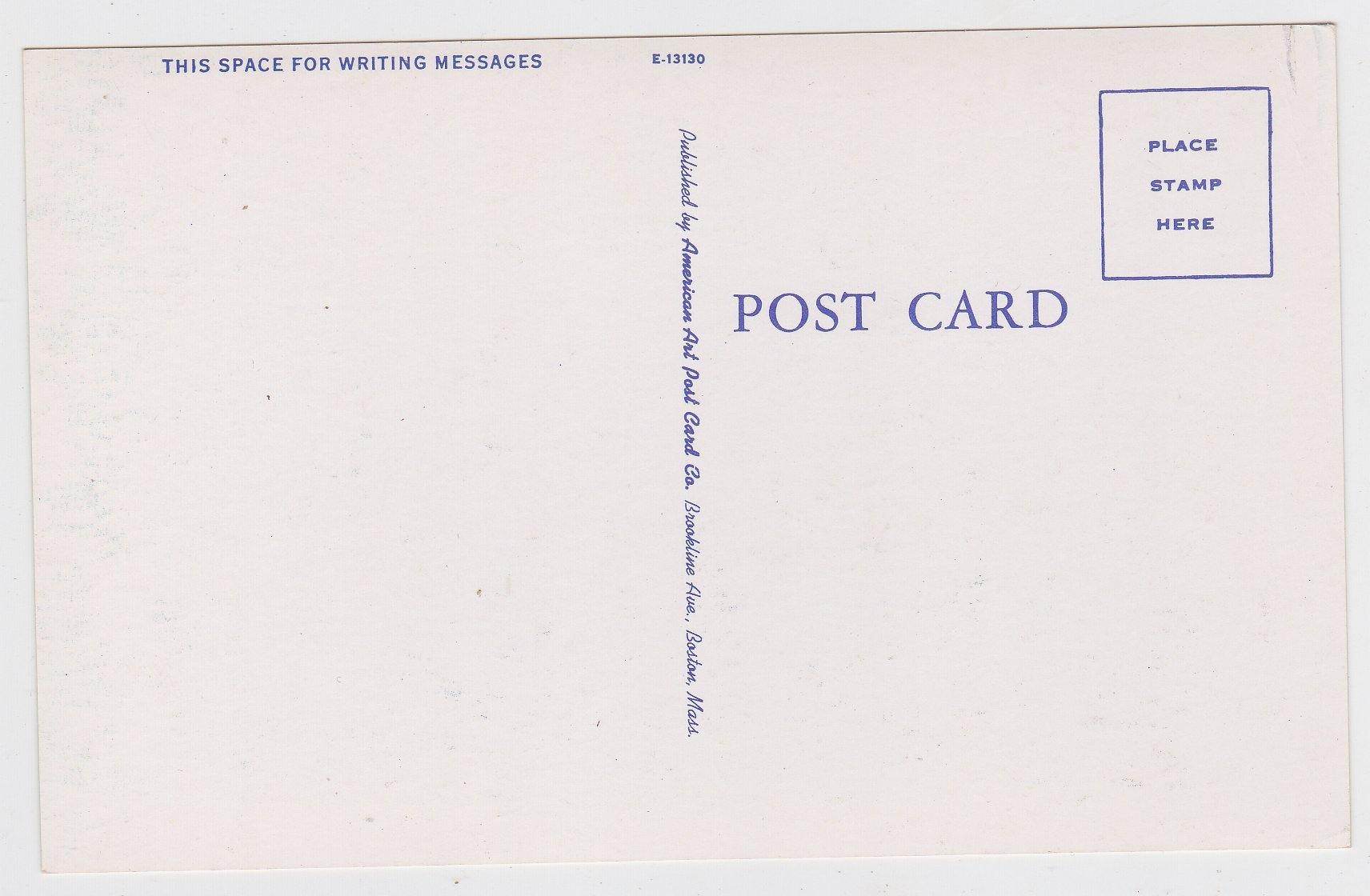 Lunch Time In Maine Bear Cub Drinking Postcard - TulipStuff