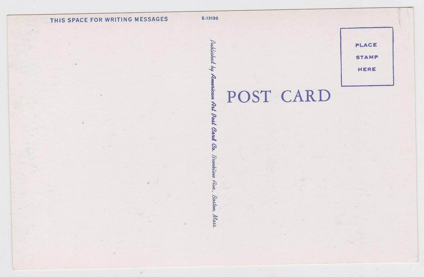 Lunch Time In Maine Bear Cub Drinking Postcard - TulipStuff