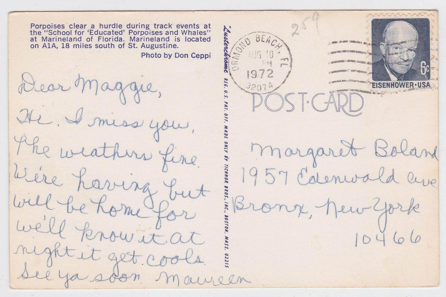 Marineland of Florida School For Educated Porpoises And Whales 1972 - TulipStuff
