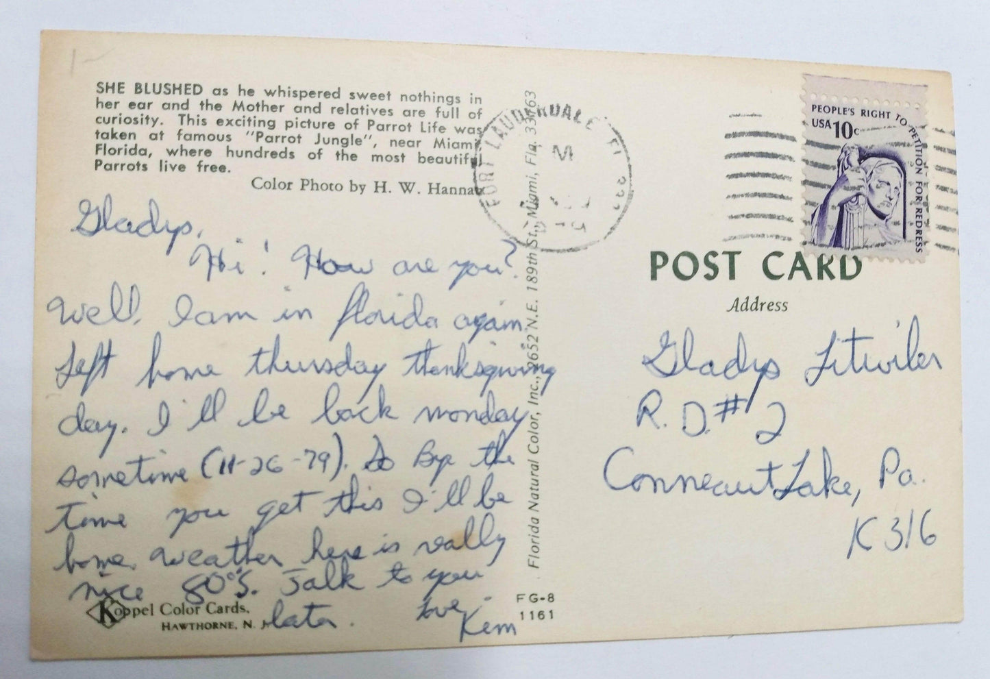 Parrots At Parrot Jungle Pinecrest Miami Florida 1979 Postcard - TulipStuff