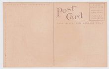 Load image into Gallery viewer, Peach 1910 Antique Postcard Published by Edward Mitchell - TulipStuff