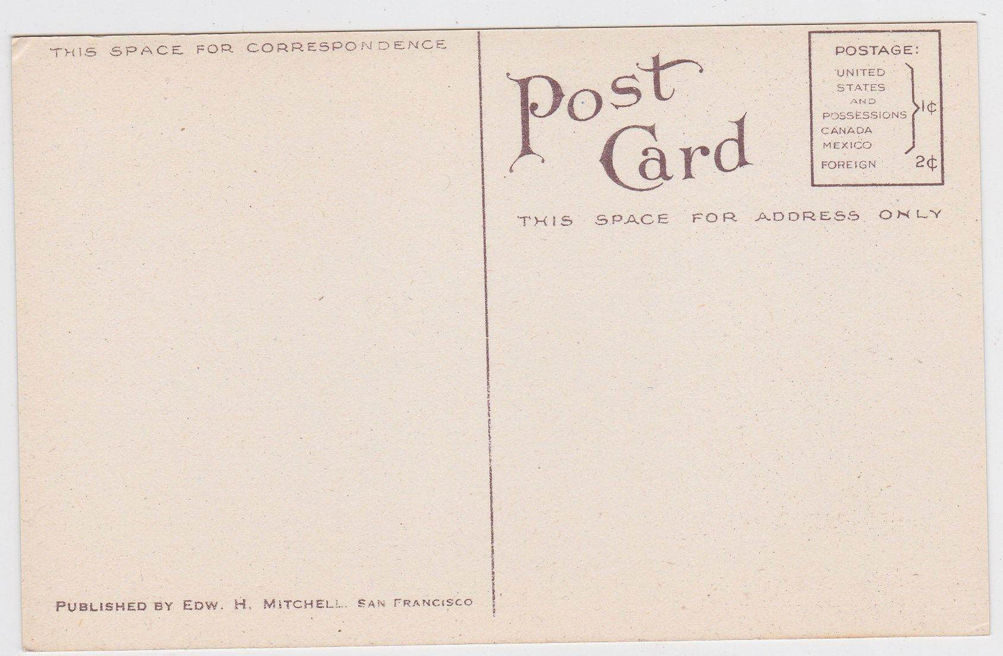 Bartlett Pear 1910 Antique Postcard Published by Edward Mitchell - TulipStuff