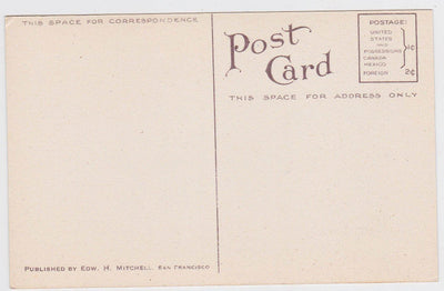 Bartlett Pear 1910 Antique Postcard Published by Edward Mitchell - TulipStuff