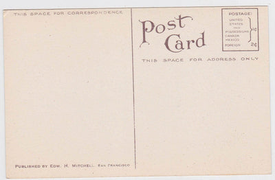 Bartlett Pear 1910 Antique Postcard Published by Edward Mitchell - TulipStuff