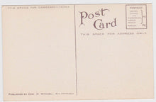 Load image into Gallery viewer, Bartlett Pear 1910 Antique Postcard Published by Edward Mitchell - TulipStuff