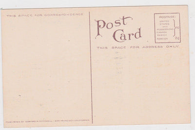 Primary School Watsonville California 1910's Postcard - TulipStuff