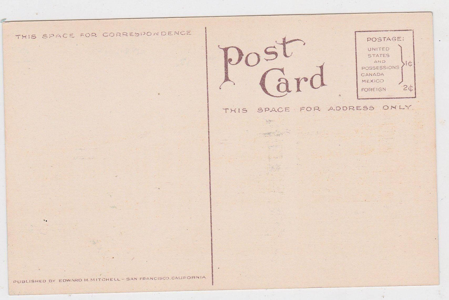 Primary School Watsonville California 1910's Postcard - TulipStuff