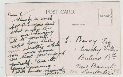 Royal Terrace Gardens Rock Walk Torquay Devon England 1900's - TulipStuff