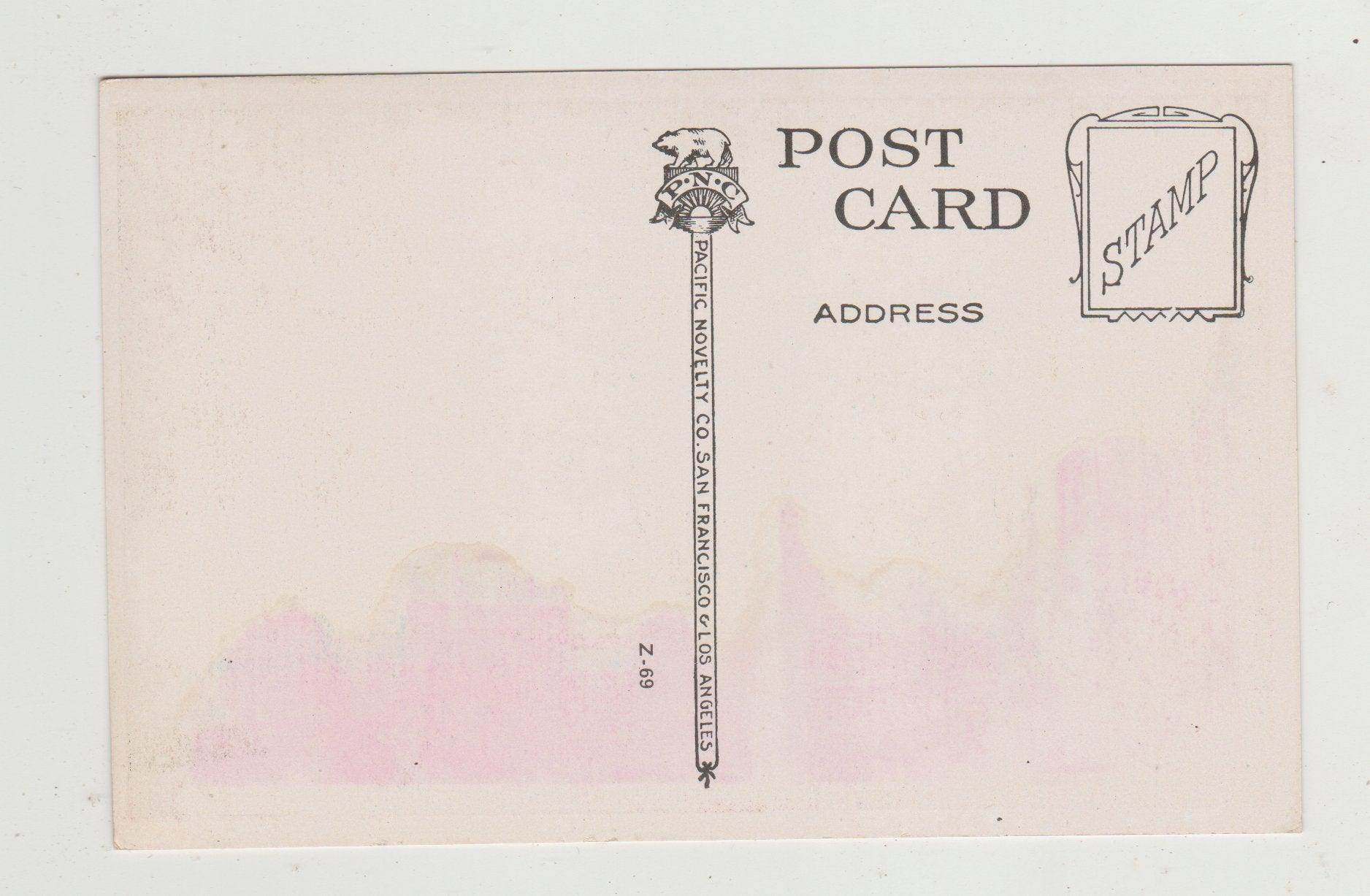 Oldest Rose Tree In California San Gabriel Mission 1920's Postcard - TulipStuff