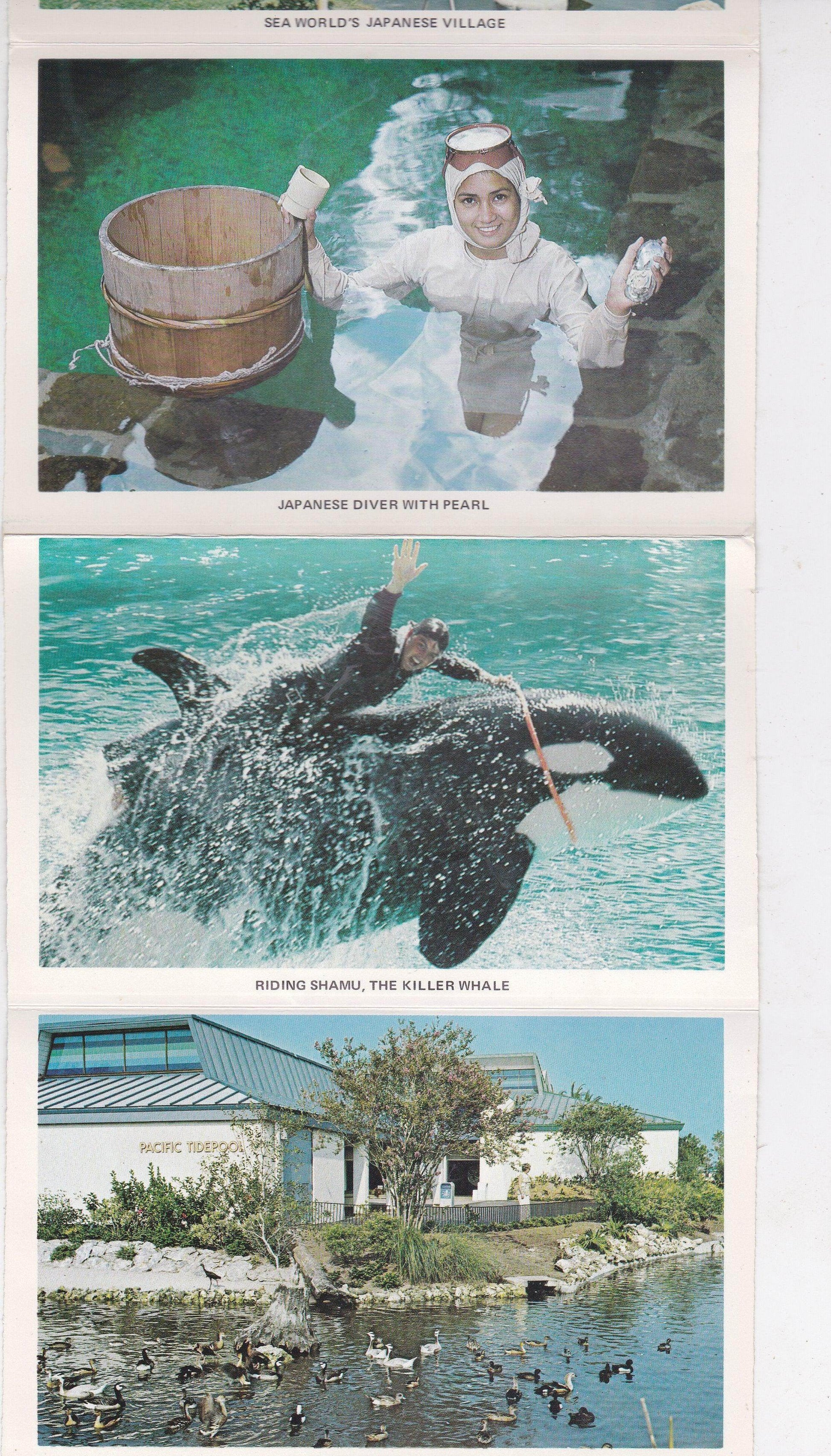 Sea World Orlando Florida 12 View Souvenir Postcard Folder 1974 - TulipStuff