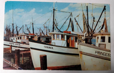 Shrimp Fleet at Marathon Florida Keys 1958 Postcard - TulipStuff