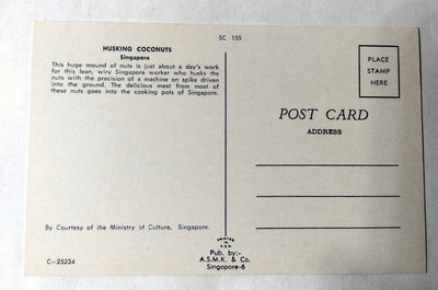 Singapore Worker Husking Coconuts Early 1960's Postcard - TulipStuff