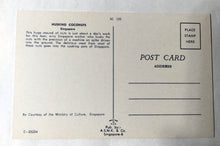 Load image into Gallery viewer, Singapore Worker Husking Coconuts Early 1960's Postcard - TulipStuff