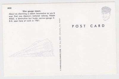 National Railways of Mexico Narrow Gauge 2-8-0 Steam Locomotive - TulipStuff