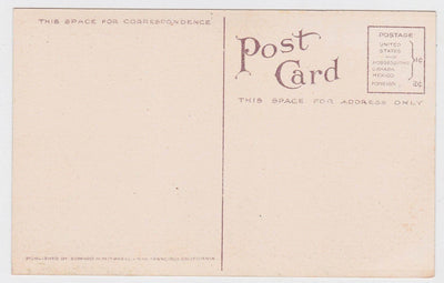 View of Harbor and Docks Everett Washington 1910 - TulipStuff