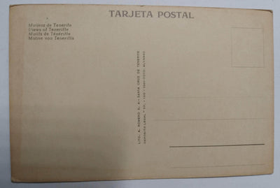 Tenerife Canary Islands Women With Flower Baskets Postcard 1961 - TulipStuff