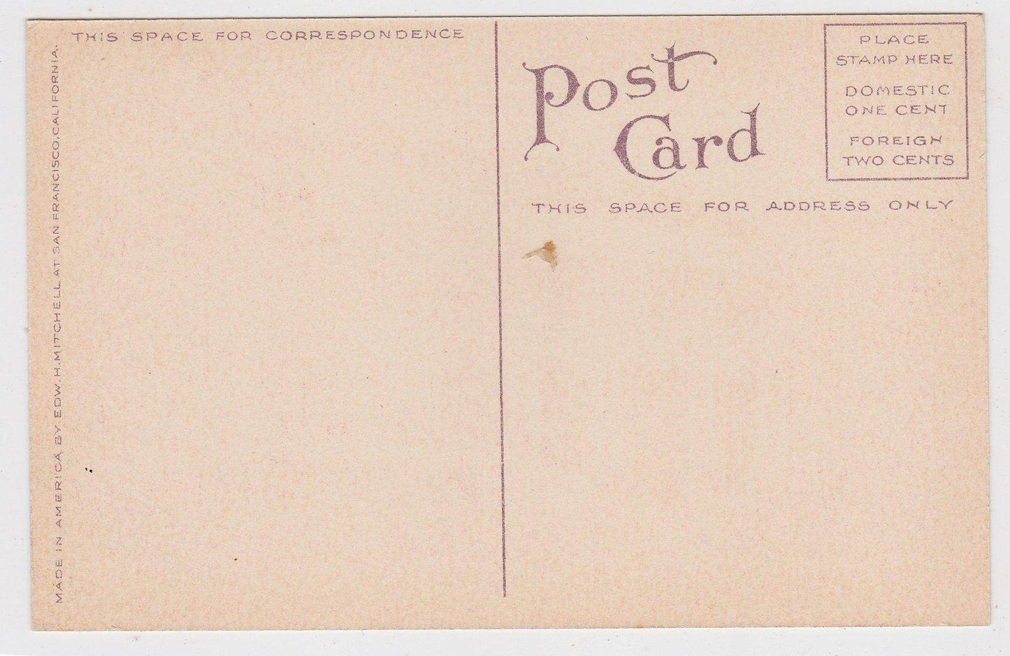 Washington Grammar School Petaluma California 1910's Postcard - TulipStuff