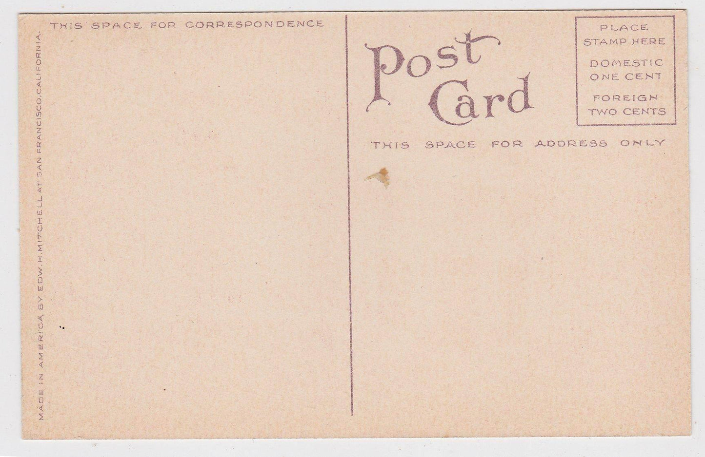Washington Grammar School Petaluma California 1910's Postcard - TulipStuff