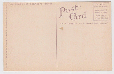 Washington Grammar School Petaluma California 1910's Postcard - TulipStuff