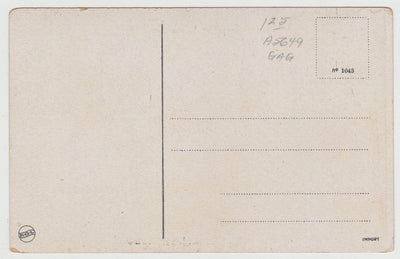 Wesolych Swiat Polish Merry Christmas Holiday 1920's Postcard - TulipStuff