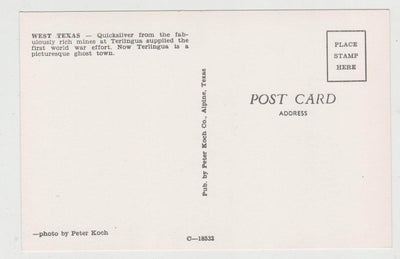 West Texas Terlingua Ghost Town Quicksilver Cemetery 1960's Postcard - TulipStuff