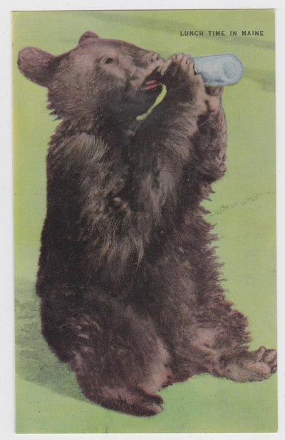 Animal Wildlife Postcards Memorabilia