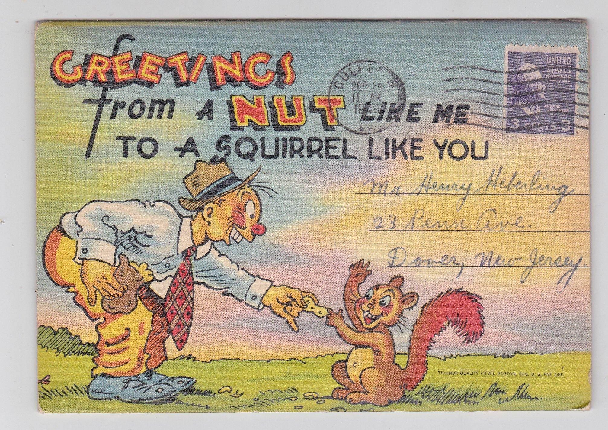 Funnt Post Card Funny Postcards – TulipStuff