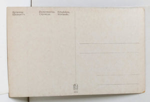 Spitzweg Zastavenicko Standchen Serenade Minerva Prague 1910's Postcard - TulipStuff