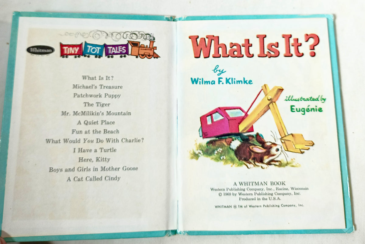 What Is It? Wilma Klimke Whitman Tiny Tot Tales Book Hardcover 1969 - TulipStuff