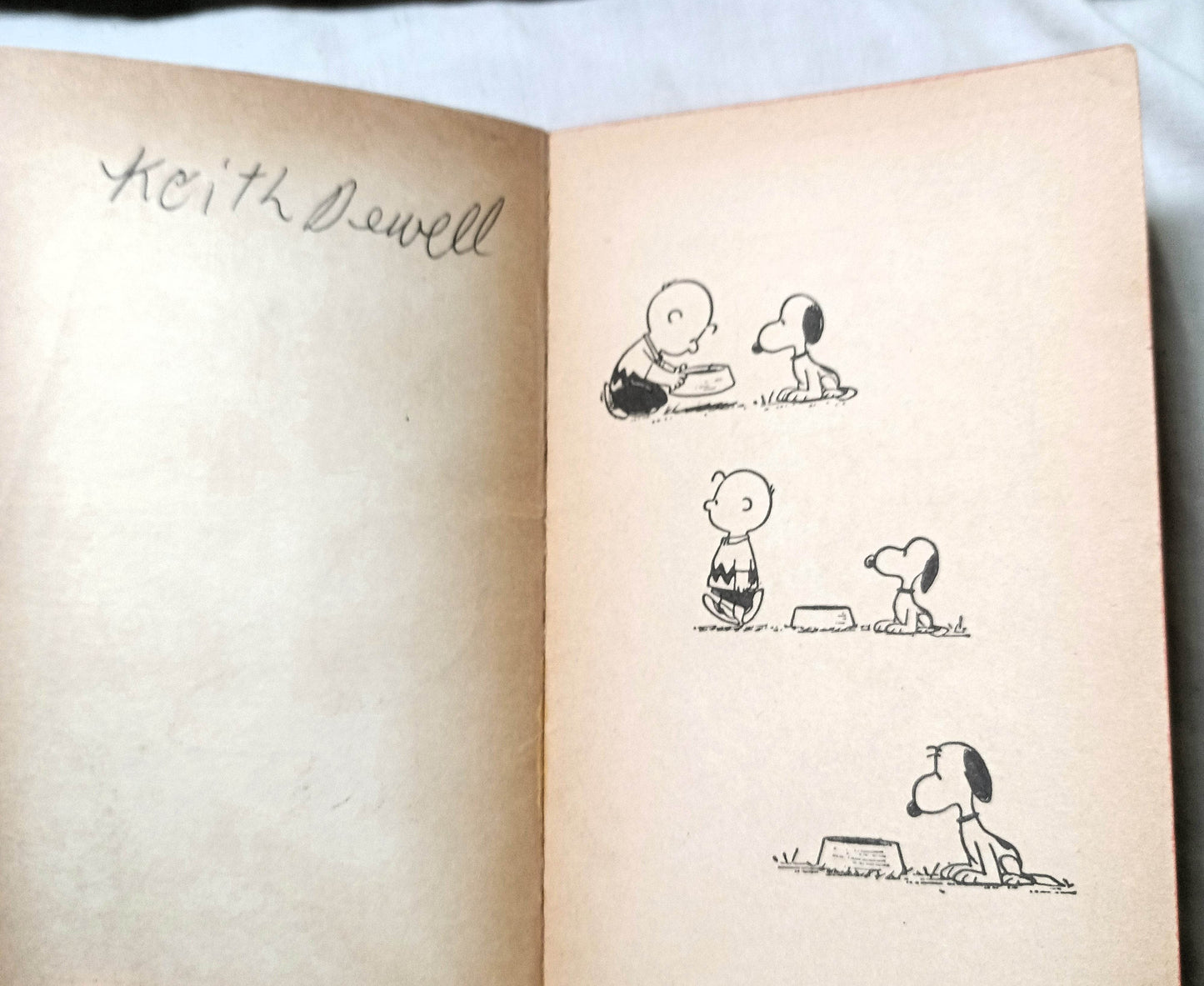 All This And Snoopy Too Peanuts Charles M Schulz 1962 Printing Fawcett - TulipStuff
