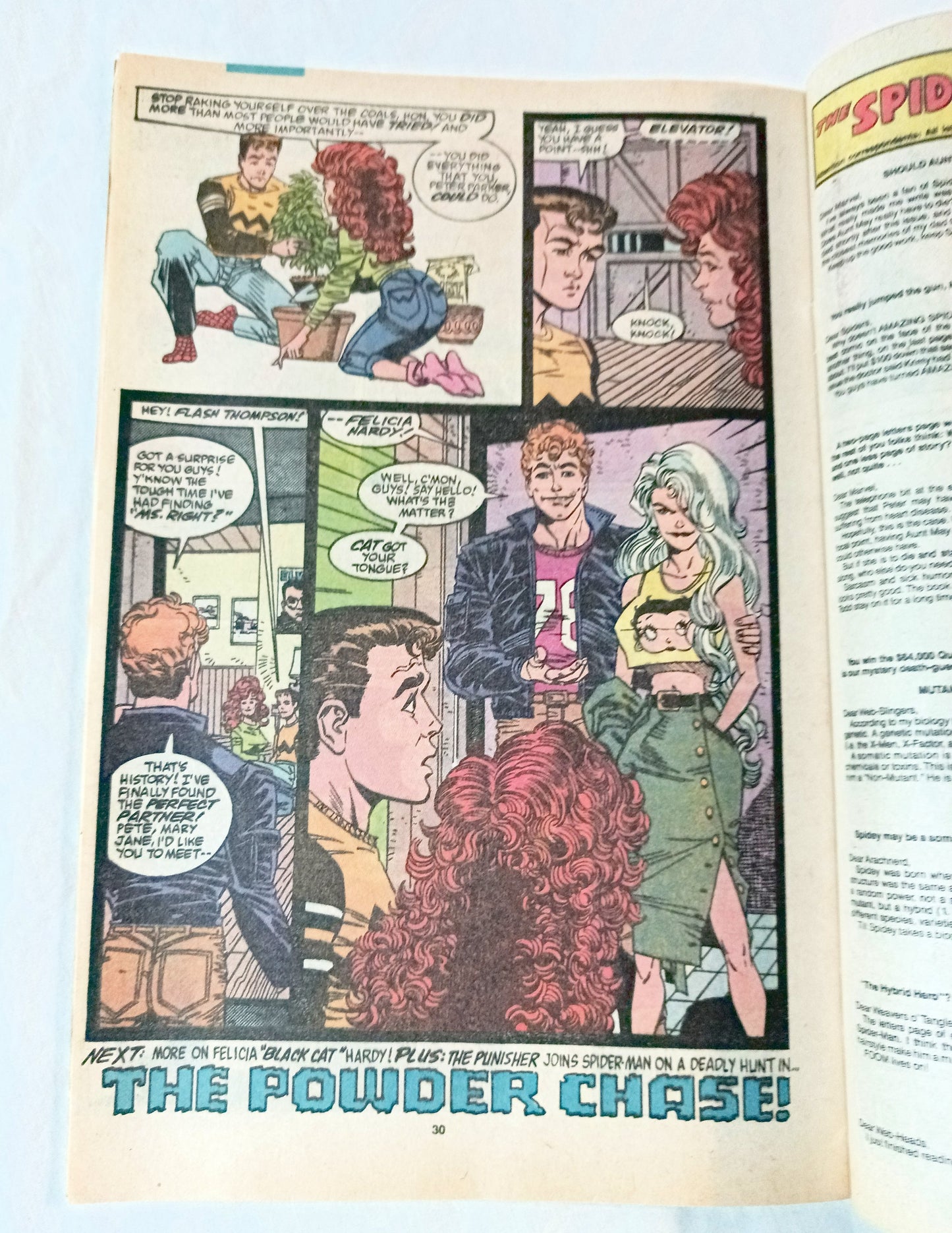 The Amazing Spiderman 329 February 1990 Marvel Comics Tri-Sentinel - TulipStuff