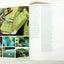 American Motors 1968 Full Line Guide Javelin Rebel Ambassador Rambler - TulipStuff