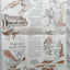 The American Club Hotel Resort Kohler Wisconsin Brochure 1980's - TulipStuff