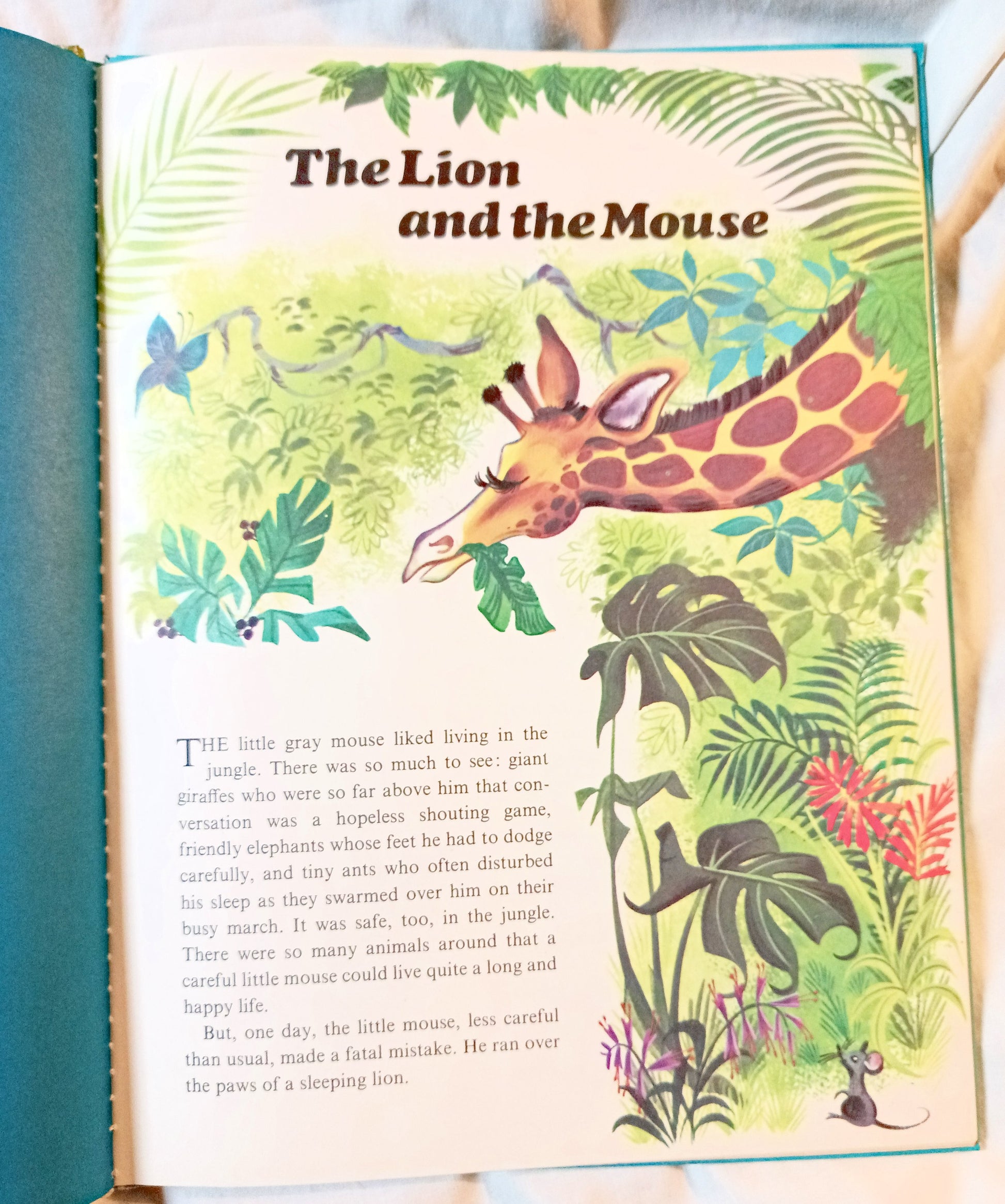 Animal Stories Mae Broadley World Distributers Playmore Hardcover 1969 - TulipStuff