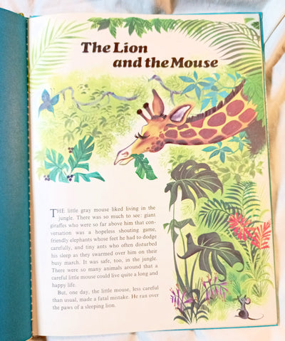 Animal Stories Mae Broadley World Distributers Playmore Hardcover 1969 - TulipStuff