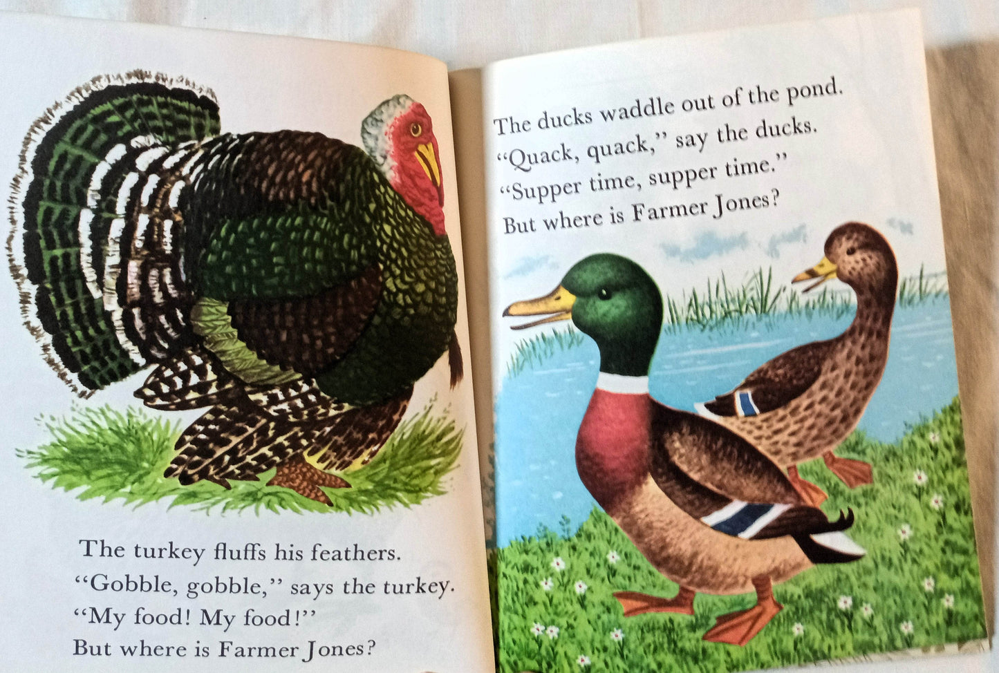 The Animals Of Farmer Jones Little Golden Book Richard Scarry 1973 - TulipStuff