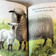 Animals On The Farm Little Golden Book Jan Pfloog 1968 - TulipStuff