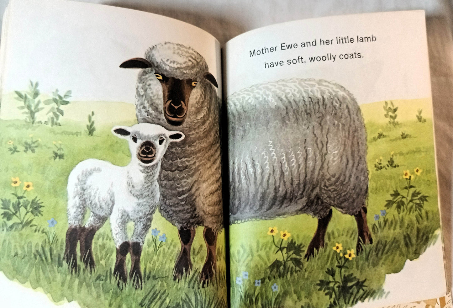 Animals On The Farm Little Golden Book Jan Pfloog 1968 - TulipStuff