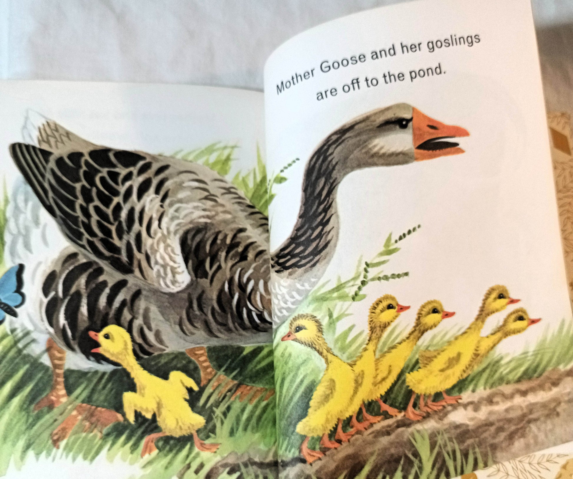 Animals On The Farm Little Golden Book Jan Pfloog 1968 - TulipStuff