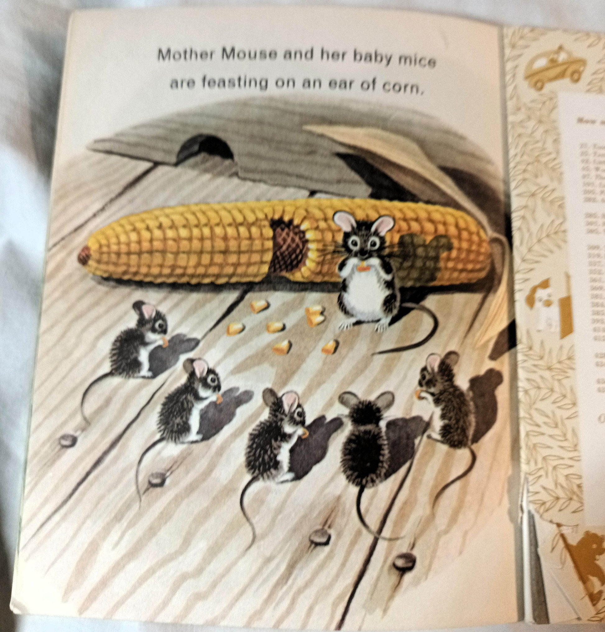 Animals On The Farm Little Golden Book Jan Pfloog 1968 - TulipStuff