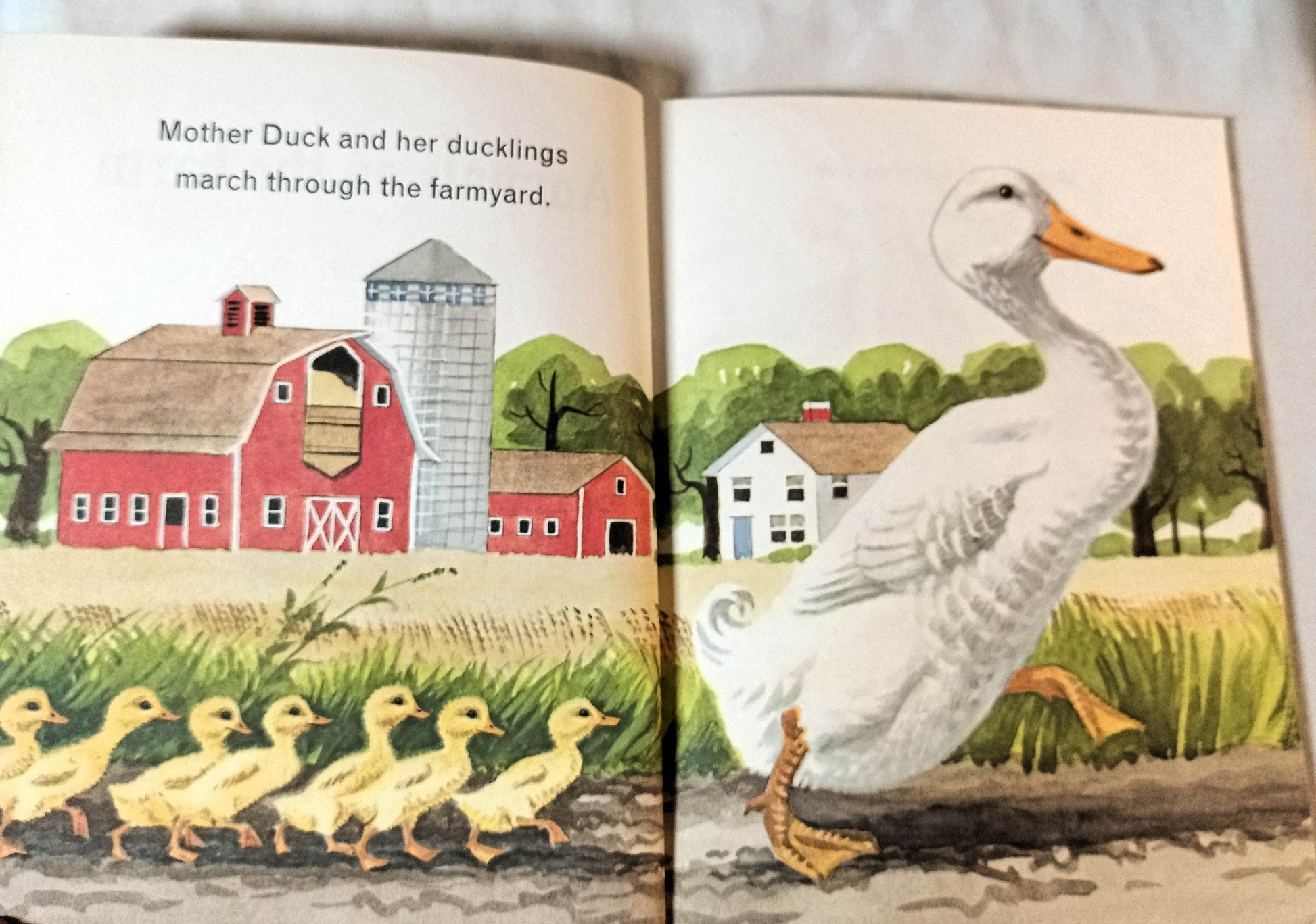 Animals On The Farm Little Golden Book Jan Pfloog 1968 - TulipStuff