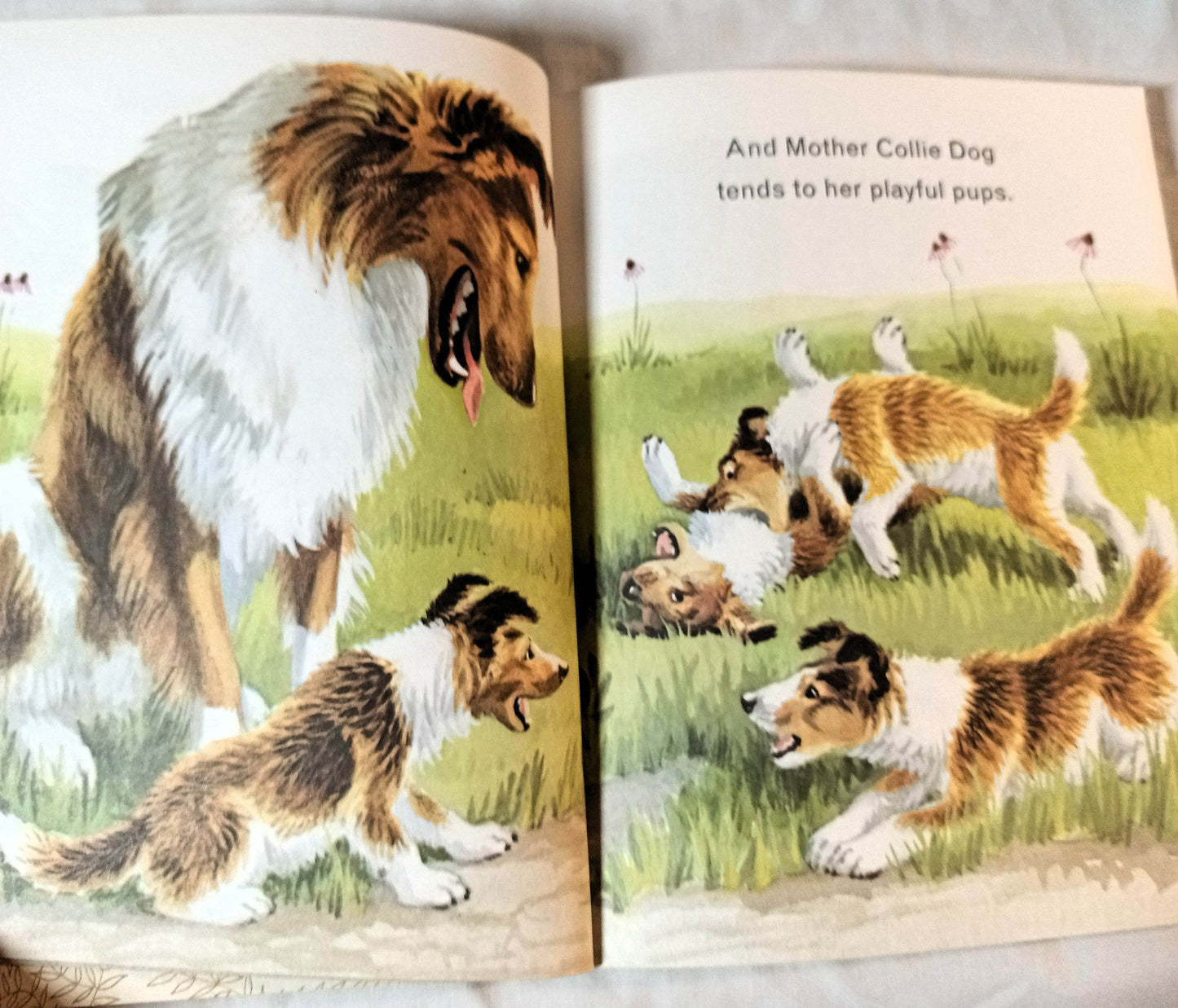 Animals On The Farm Little Golden Book Jan Pfloog 1968 - TulipStuff
