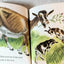 Animals On The Farm Little Golden Book Jan Pfloog 1968 - TulipStuff