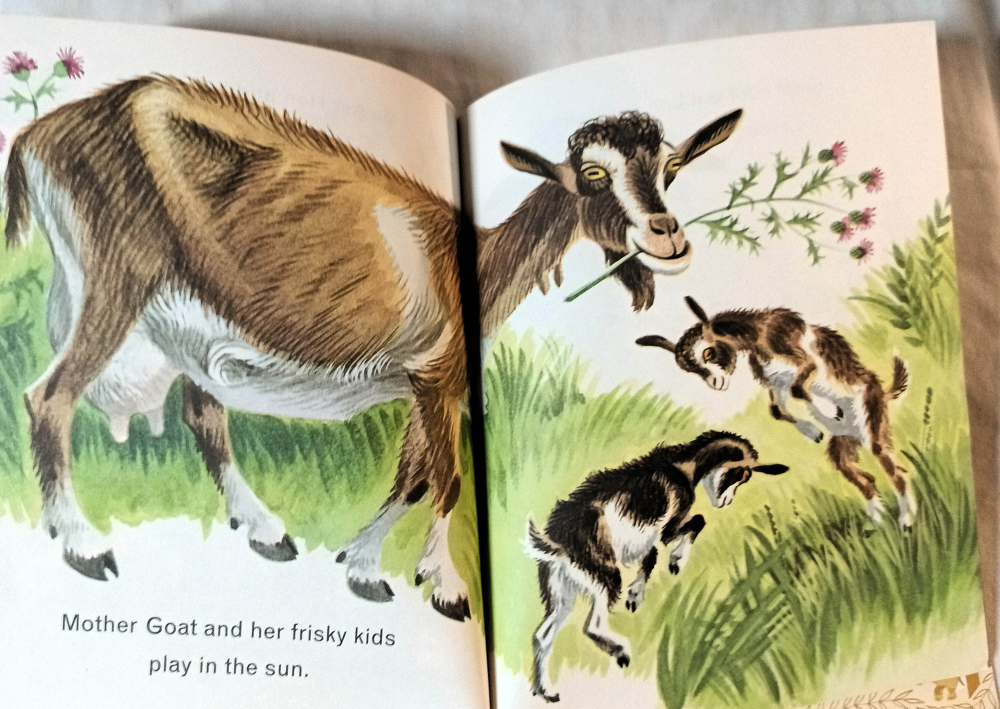 Animals On The Farm Little Golden Book Jan Pfloog 1968 - TulipStuff
