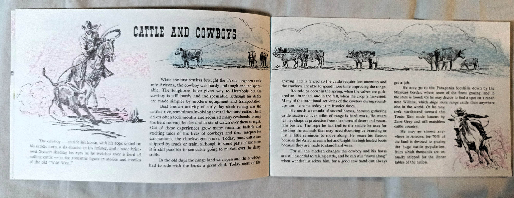 Arizona Land Of Adventure For Young Americans Booklet 1965 - TulipStuff