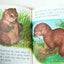 Baby Animals Little Golden Book Garth Williams 15th Printing 1973 - TulipStuff